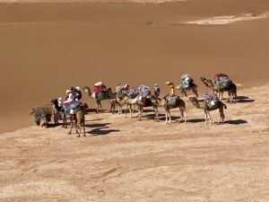 Wüstenreisen Marroko