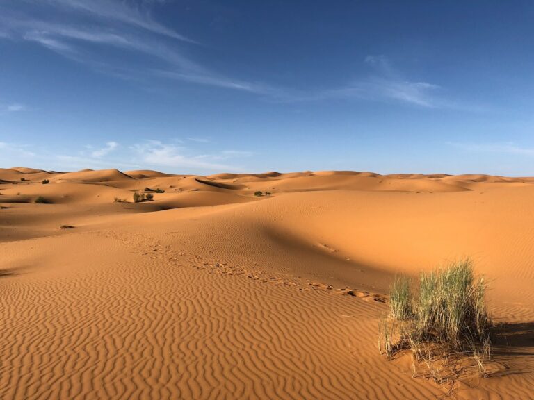 Meditative Wüstenwanderung, Wüstenwanderungen, Wüsten Retreat, Wüstenreisen Marroko, marrokanische Sahara, spirituelle Wüstenreise