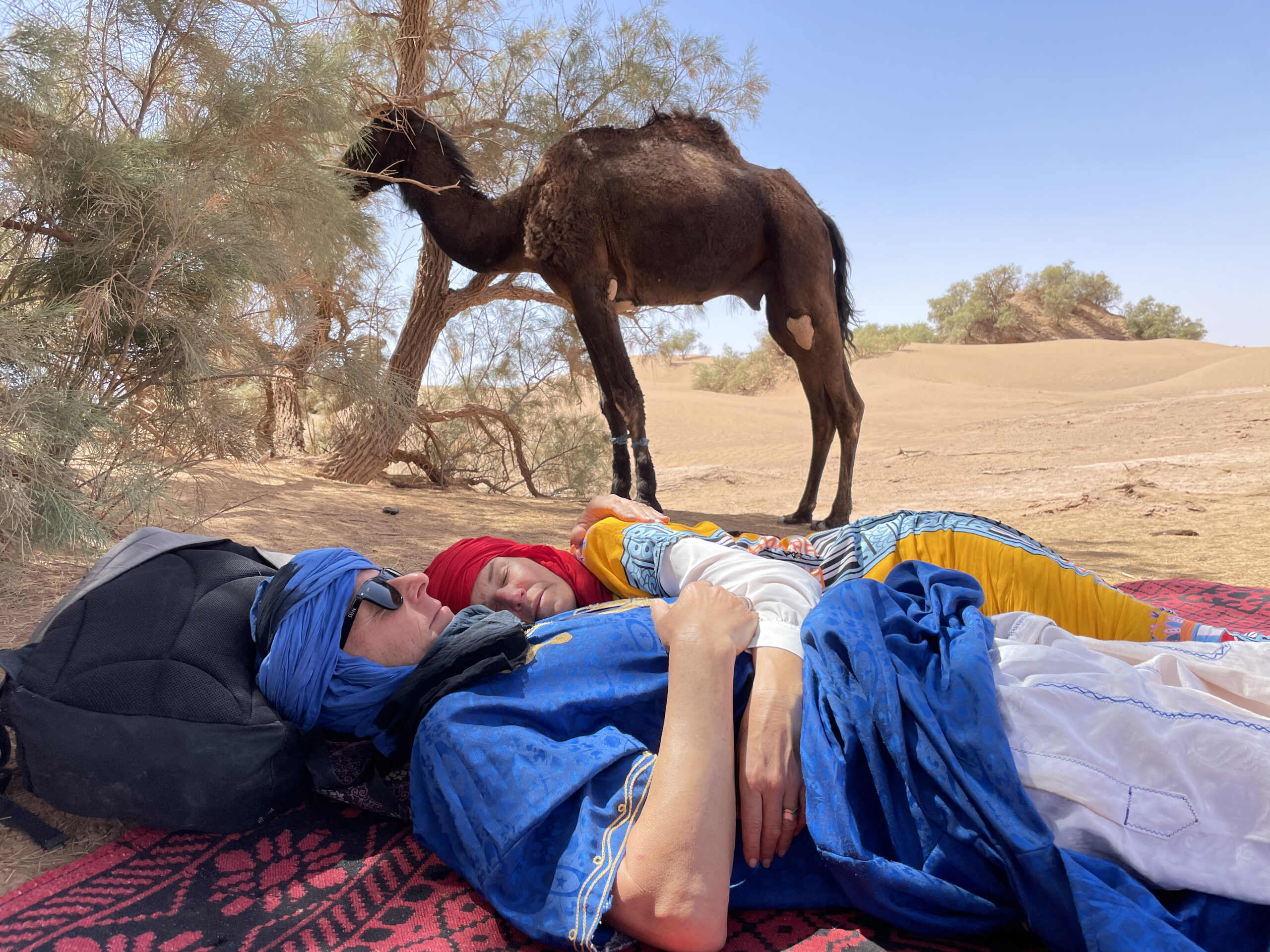 Wüstenretreat oder Wüstenreise Marokko in der marrokanischen Sahara