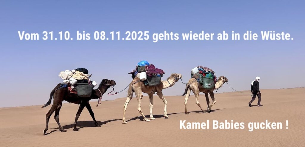 Wüstenreise Marokko vom 31.10. bis 08.11.2025