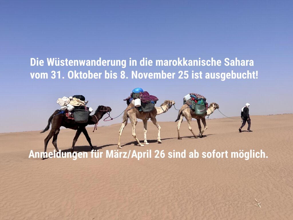 Wüstentour, Wüstenreise