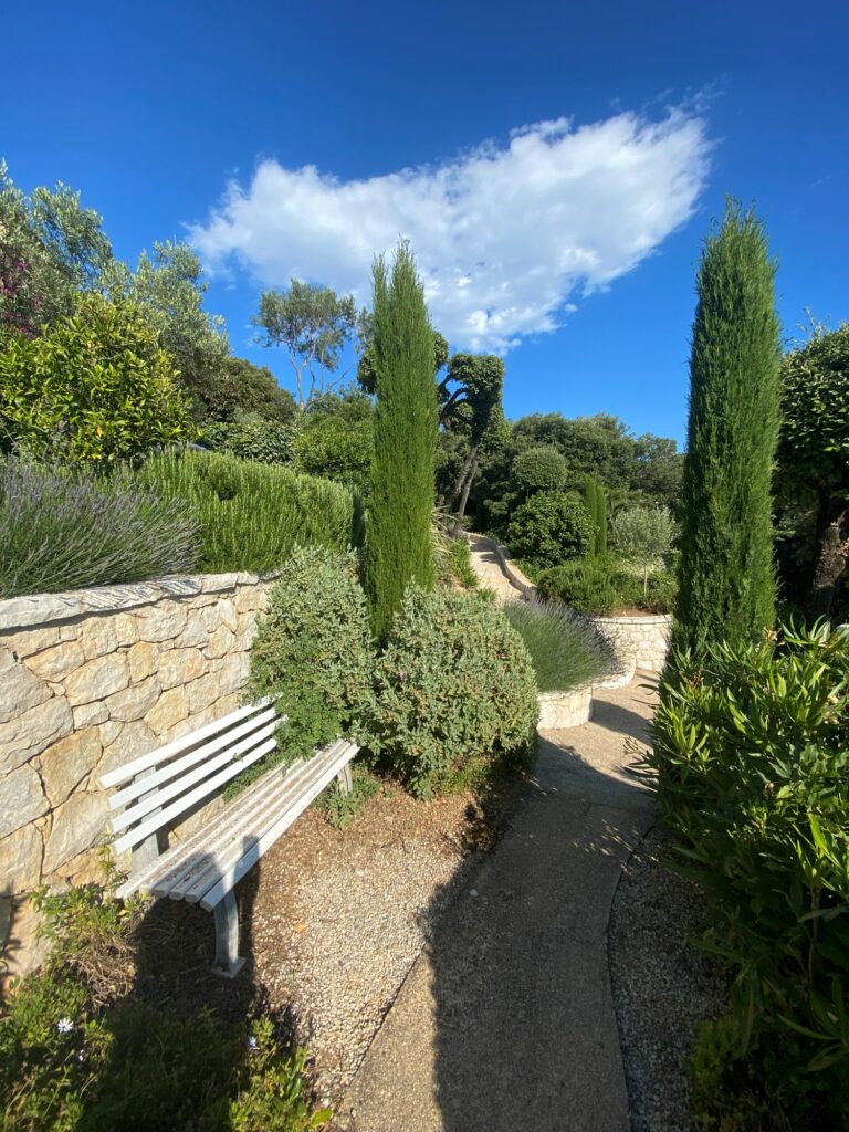 Herz am franz HImmel